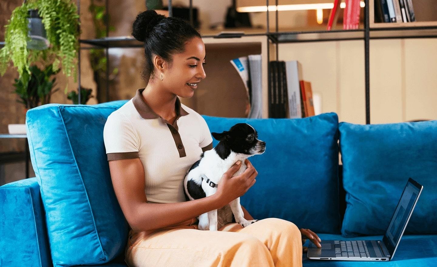 Women with small dog sitting at couch working on computer