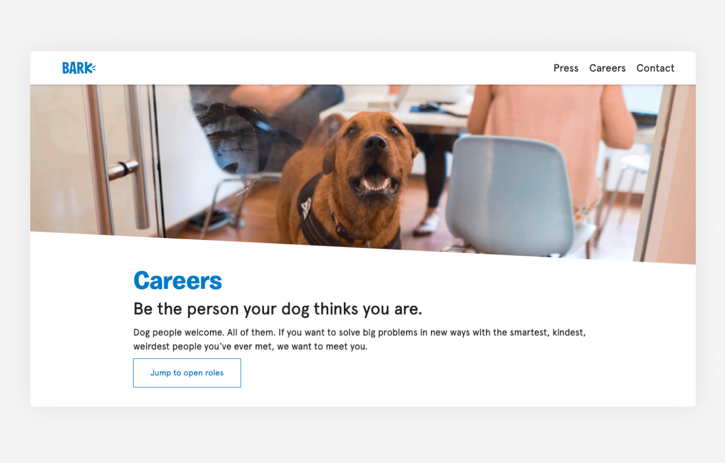 Bark's website career page example