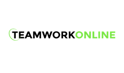 TeamWork Online Logo