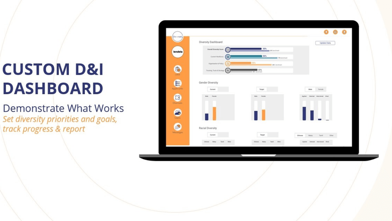 D&I dashboard to measure across 6 elements